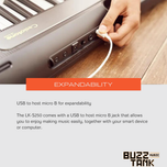 Casio LK-S250 61-Keys Casiotone Keyboard (LKS250/LK S250)