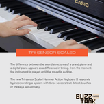 Casio AP-270 Celviano 88-Key Digital Piano