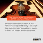 KS Strings Professional 20 Violin, Full Size 4/4