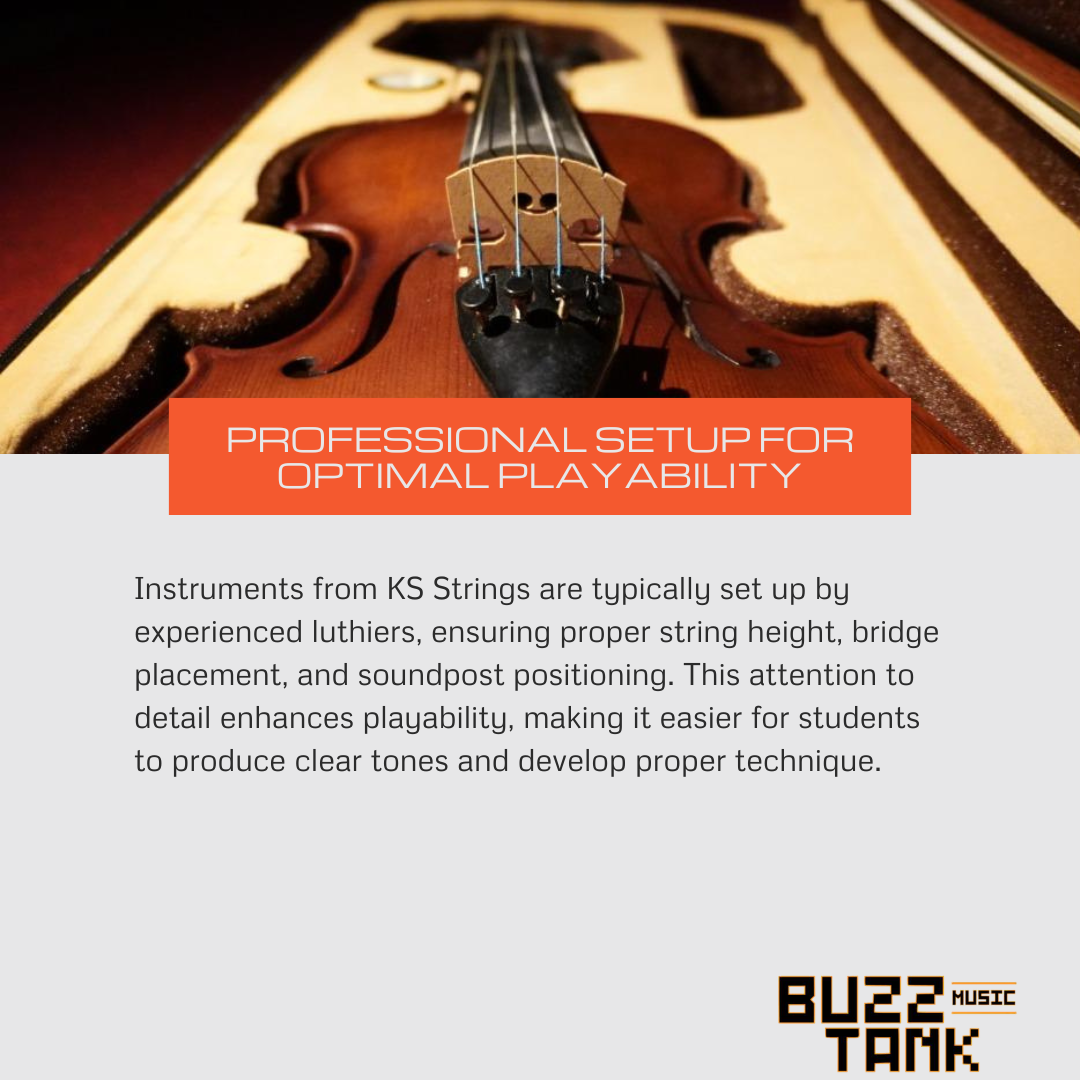 KS Strings Professional 20 Violin, Full Size 4/4