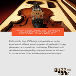 KS Strings Professional 20 Violin, Full Size 4/4