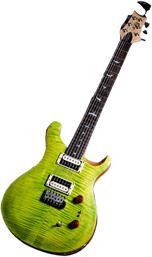 PRS SE Custom 24-08 Electric Guitar w/Bag, Eriza Verde