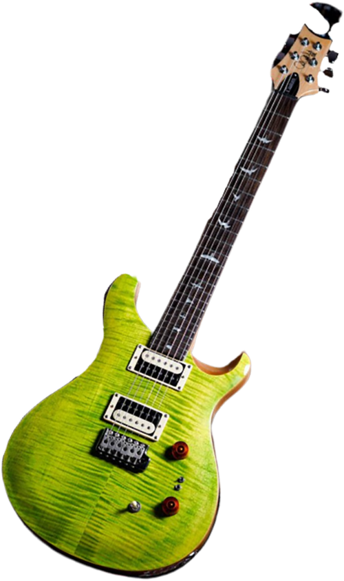 PRS SE Custom 24-08 Electric Guitar w/Bag, Eriza Verde