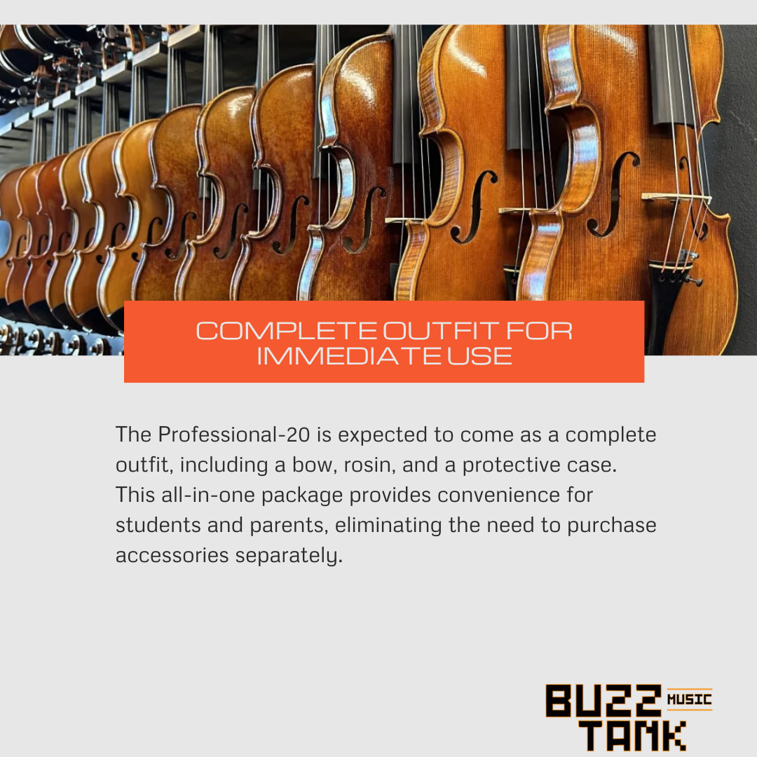 KS Strings Professional 20 Violin, Full Size 4/4