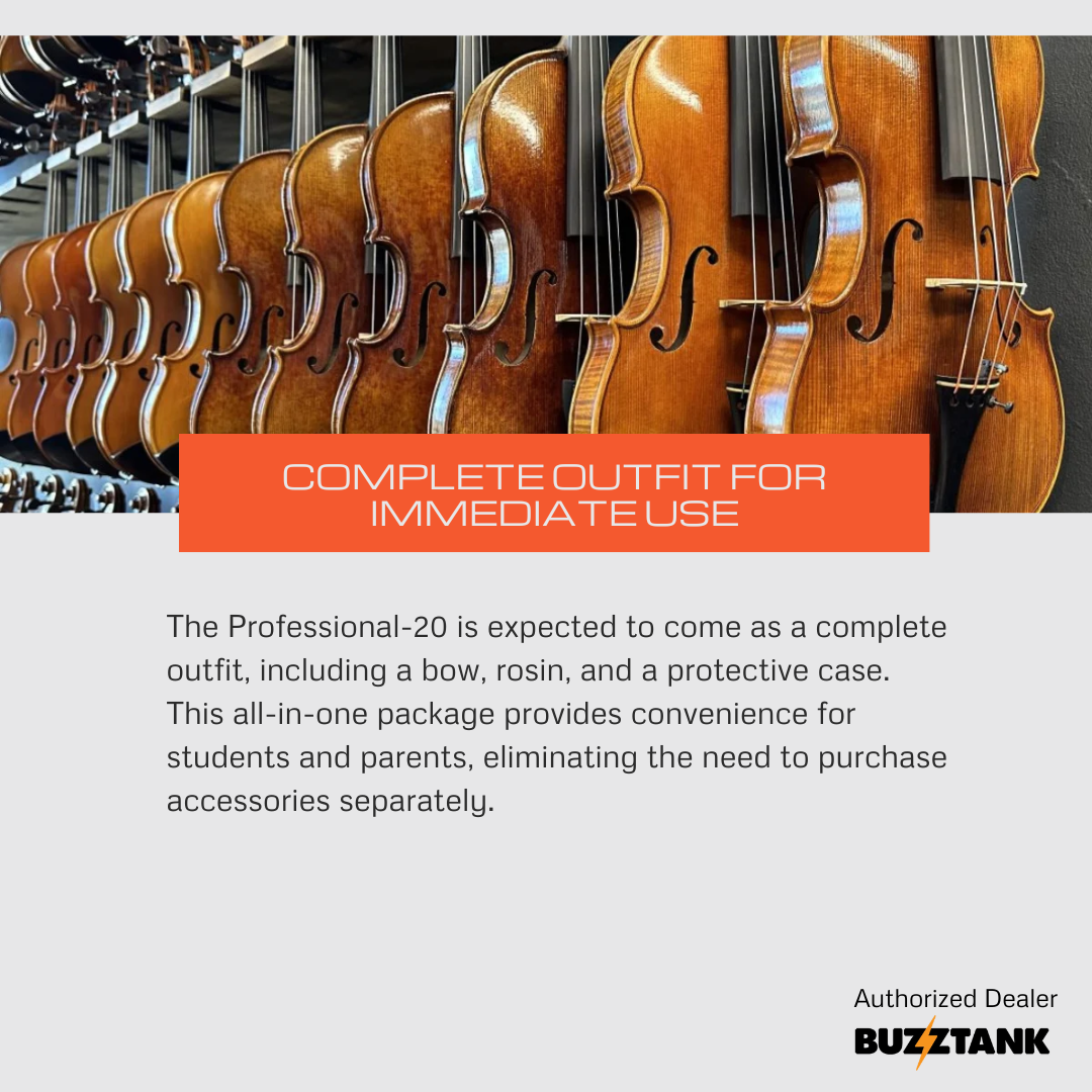 KS Strings Professional 20 Violin, Full Size 4/4
