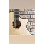 Protege M-1 Acoustic Guitar