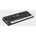 Korg EK-50 Digital Entertainer Keyboard Electronic Piano Professional Arranger