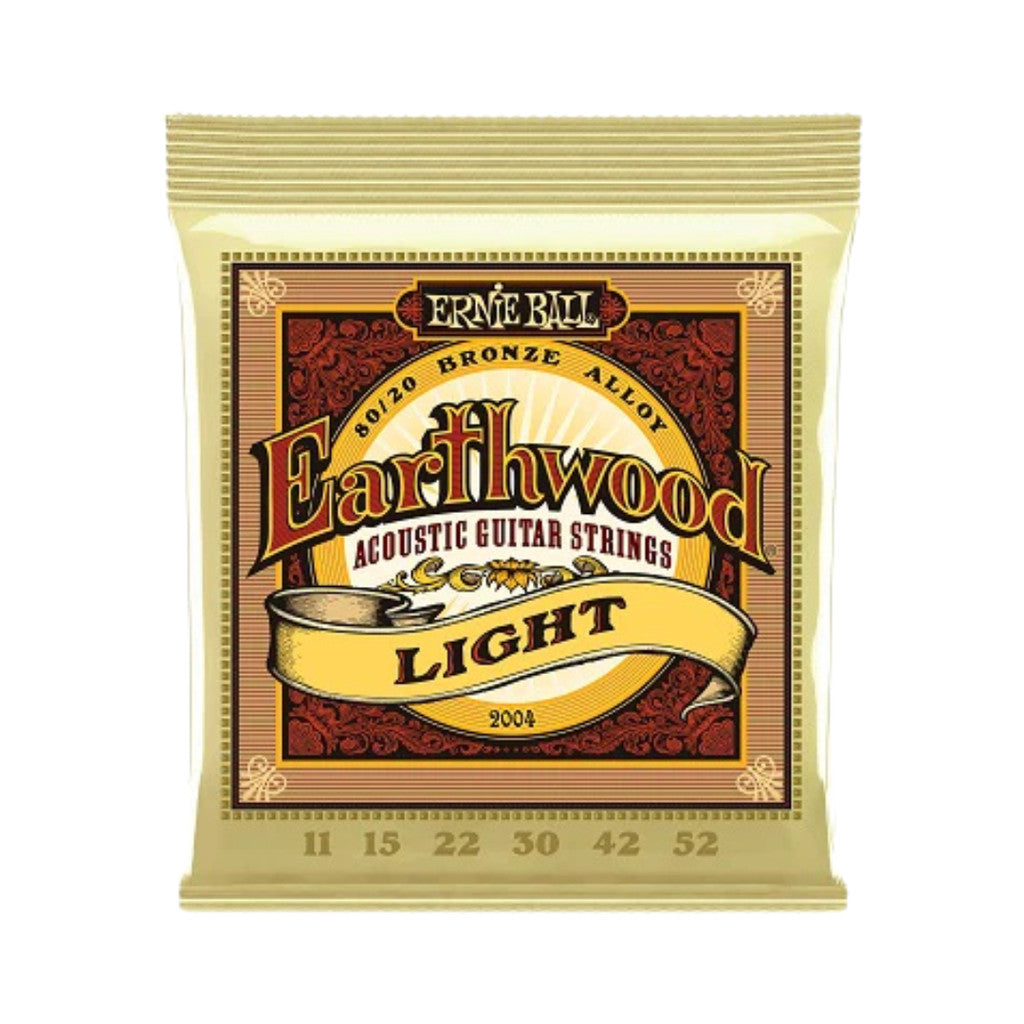 Ernie Ball Earthwood Acoustic Guitar strings