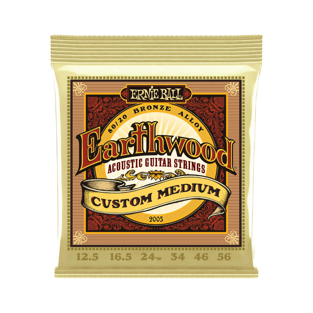 Ernie Ball Earthwood Acoustic Guitar strings