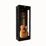 Lenthem DMI-185DT Three-Sided Glass Dehumidifier Cabinet for Acoustic & Electric Guitar