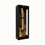 Lenthem DMI-195DT Three-Sided Glass Dehumidifier Cabinet for Bass Guitar