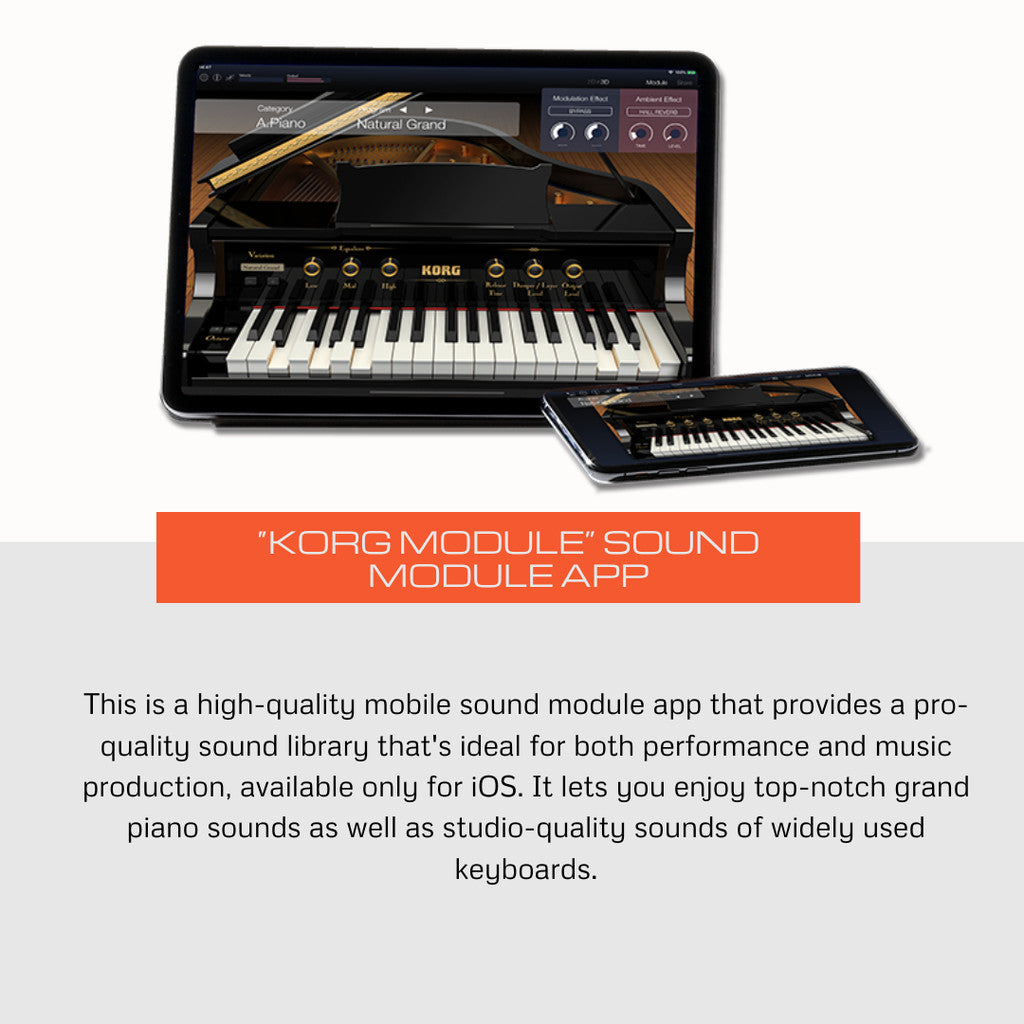 KORG B2 88-Key Digital Piano, Black