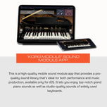 KORG B2 88-Key Digital Piano, Black