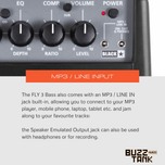 Blackstar Fly 3 (3 Watts) Bass Mini Amp Combo