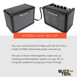 Blackstar Fly 3 (3 Watts) Bass Mini Amp Combo