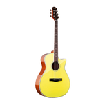 SQOE XLDC Spectrum Series Acoustic Guitars