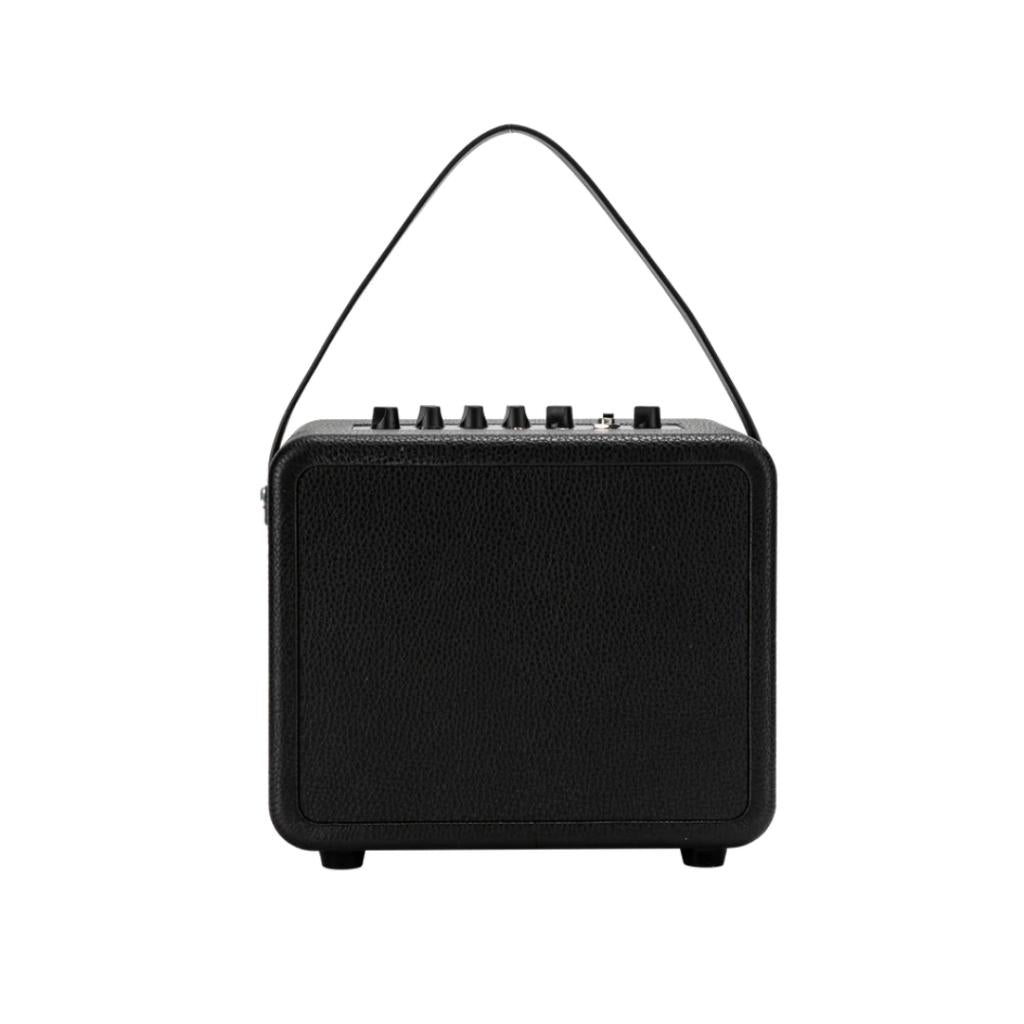 AGA Classic Series Electric Guitar Amplifier
