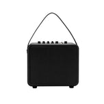 AGA Classic Series Electric Guitar Amplifier